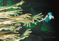 Spectral Hands | Art Print